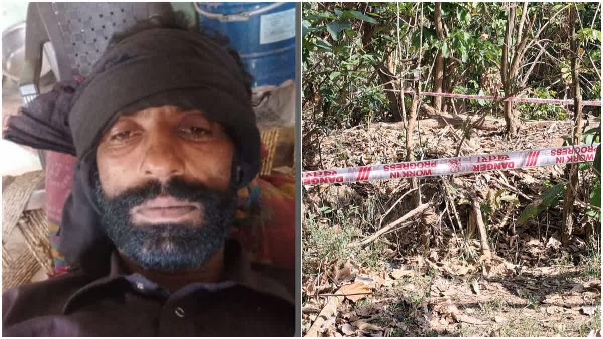 हरिद्वार टाइगर शिकार मामला: सरेंडर की तैयारी में मुख्य आरोपी आमिर हमजा, कोर्ट में लगाई अर्जी