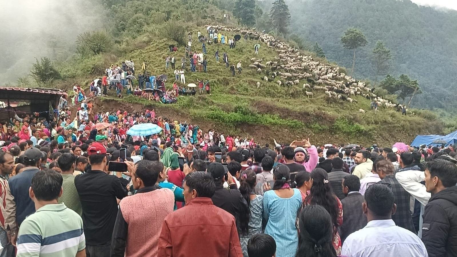 18 साल बाद फिर सजा ऐतिहासिक भेड़ मेला, निवालगांव में उमड़ा आस्था का सैलाब